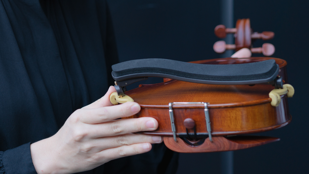 Assess Violin and Body Size